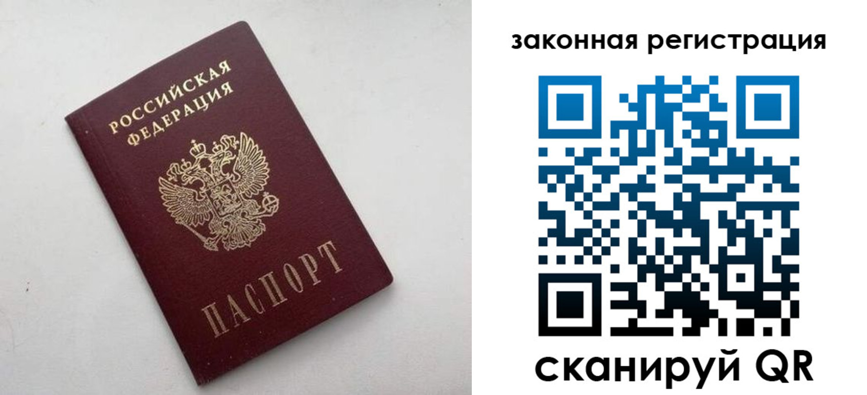 прописка гарантия в Сафоново
